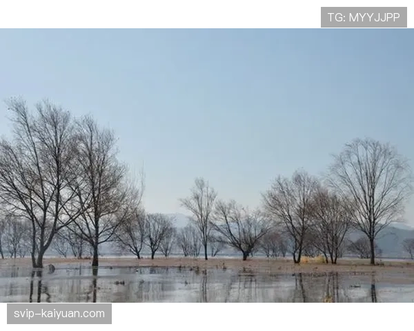 蓝衣户外赛战胜红翼 现场近九万五千名观众创纪录